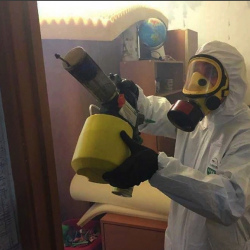 Уничтожение клопов в квартире. Агрыз